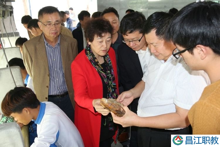 省政协领导莅临昌江县职业教育中心调研(图2)