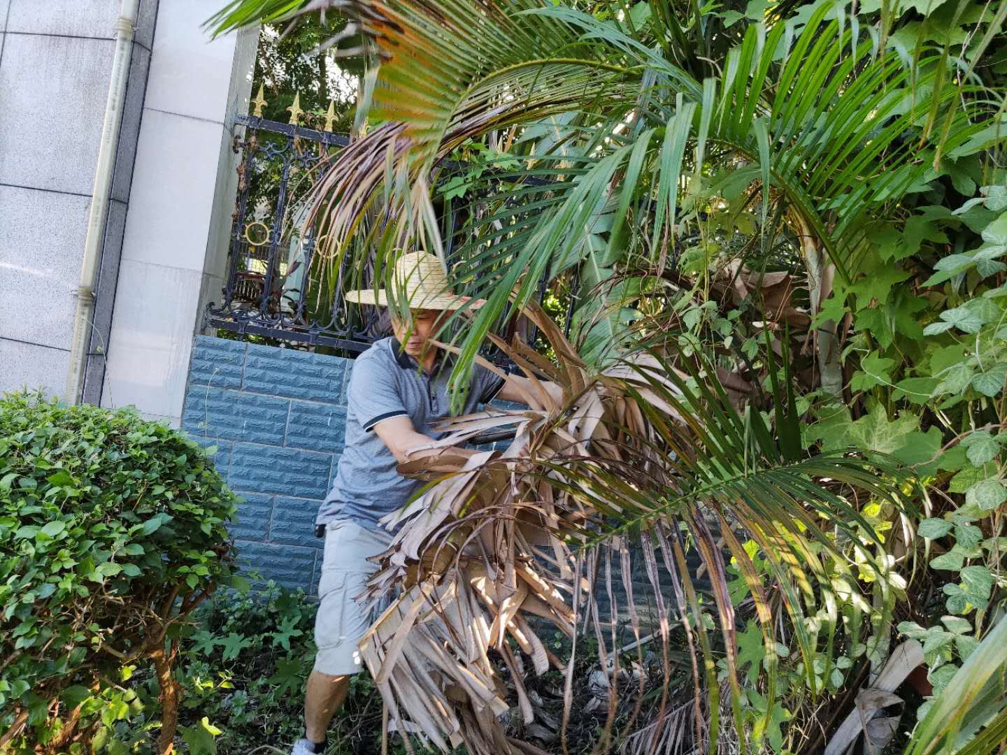 2020年昌江县职业教育中心党支部开展“爱祖国、爱海南、爱家乡、爱家庭”卫生健康大行动(图3) 2020年昌江县职业教育中心党支部开展“爱祖国、爱海南、爱家乡、爱家庭”卫生健康大行动(图3)