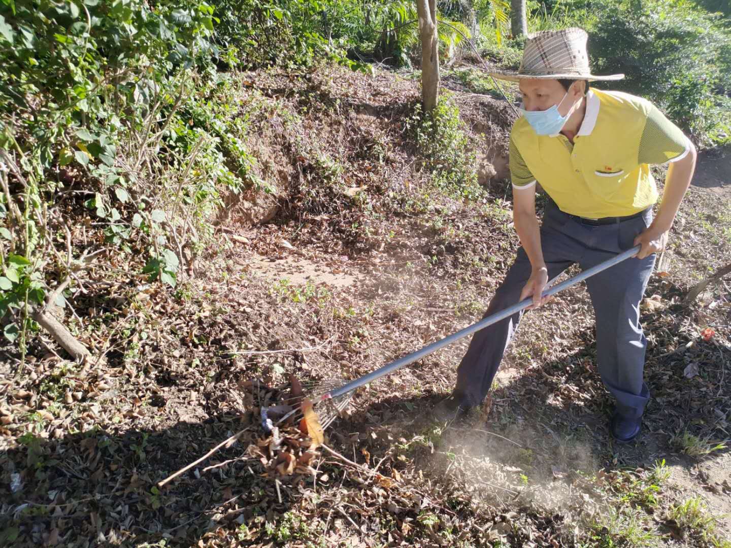 2020年昌江县职业教育中心党支部开展“爱祖国、爱海南、爱家乡、爱家庭”卫生健康大行动(图5) 2020年昌江县职业教育中心党支部开展“爱祖国、爱海南、爱家乡、爱家庭”卫生健康大行动(图5)